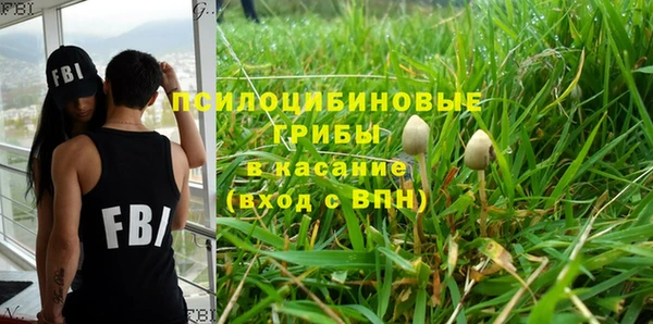 первитин Богородицк