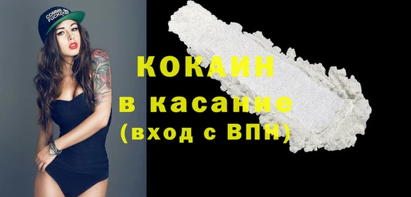 ПСИЛОЦИБИНОВЫЕ ГРИБЫ Богданович