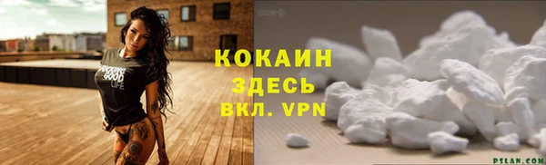 первитин Богородицк