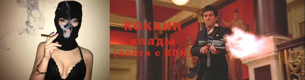 ПСИЛОЦИБИНОВЫЕ ГРИБЫ Богданович