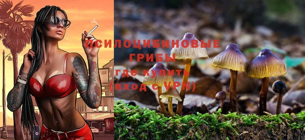 спиды Богородск