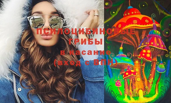 первитин Богородицк
