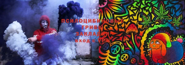 спиды Богородск