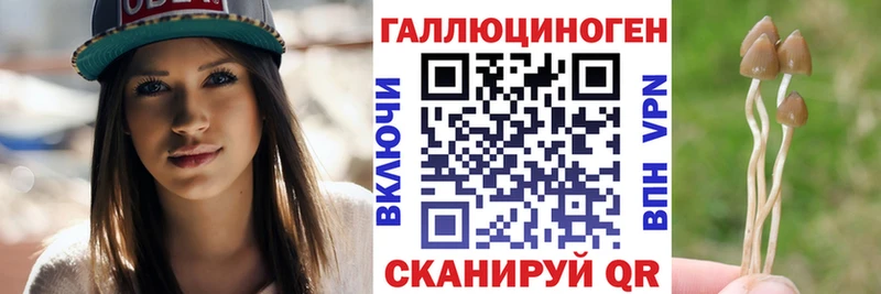 купить наркотик  Благовещенск  Галлюциногенные грибы Psilocybe 