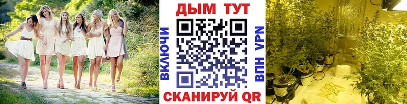 дарнет шоп  Благовещенск  МАРИХУАНА план 